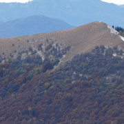 Monte Boglia