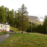 Predasca 1715 m
