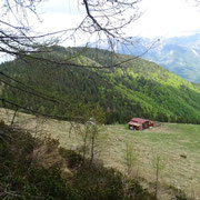 Alpe della Costa 1611 m