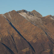 Gridone