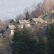 Piantürin