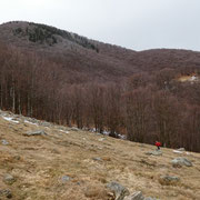 Alpe Cedullo 1291 m