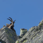 Ci stanno osservando dal Pizzo della Sassada