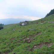 Alpe della Costa 1611 m