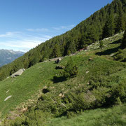 Alpe Gararescio 1783 m