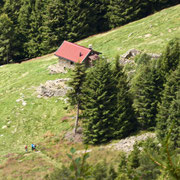 Alpe di Domass