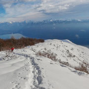 Urione