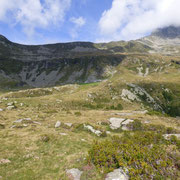 Alp de Mem 1950 m