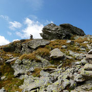 A 2794 m