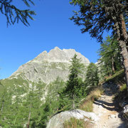 Poncione di Cassina Baggio