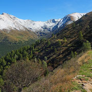 Il bel sentiero che conduce all'Alpe Matro