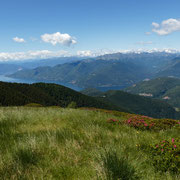 Verso il Lago Maggiore