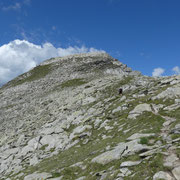Brudelhorn