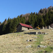 Alpe Domàs 1666 m