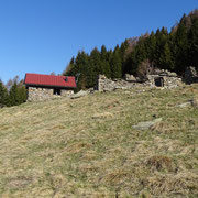 Alpe Domàs 1666 m