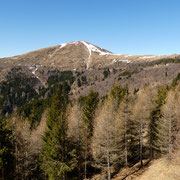 Monte Bar