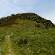 Monte Magno