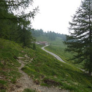 Alpe di Giumello 1594 m