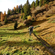 Sentiero per l'Alp Sura