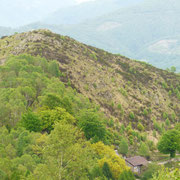 Matro di Stinchè