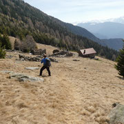 Alpe Domàs 1666 m