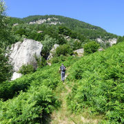 Bergnauri 1103 m