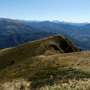 Camusio