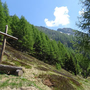 Cima di Negrös vista dall'Alpe Legrina