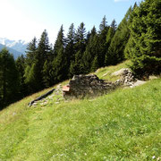 Cesura