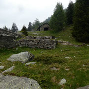 Alpe Foppascia 1900 m