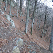 In salita per l'Alpe d'Arbino