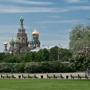 Ausgeträumt Russland – Blutskirche Sankt Petersburg (Herbert Rongen)