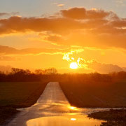 Spiegelbild des Abends - Irene Hissel