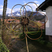 Weidenblume doppelt blättrig