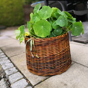 Blumenübertopf ohne Boden