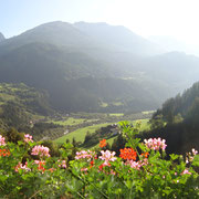 Zöschgenhof Haus Ganzer Pension Urlaub Osttirol Sommer Ferienwohnung Apartment Zimmer