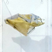 TANJA PRUŠNIK, C-unst Maske Serie 1-14