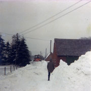 Schneesturm auf dem Schockland 1979