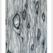 Árbol
