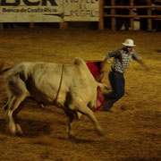 Escaping from the bull