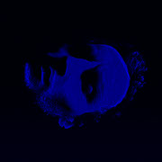 "FERN - EP": additional production