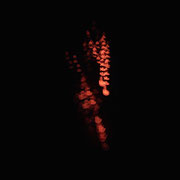 "Rhoads - Lo and Behold": drums