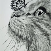 "Katze mit Schmetterling", 14,5 x 21,5 cm, Mixed-Media auf Papier, 2024 | Foto: Gaby Braner