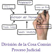 Proceso judicial para la Extinción del Proindiviso