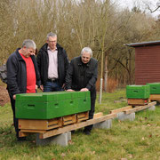 Begutachtung der Jungvölker