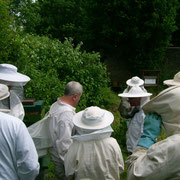 Workshop am Bienenstand