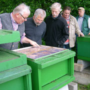 Blick in die Golzbeute