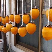正月に帰省する子らを思って我が家では今年も柿を吊しました。　　　　・帰省する子らを思ひて柿吊す(和良)