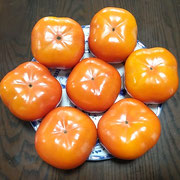 浜松市のヤマハ技術研究所に勤務していた時の上司から柿が届きました。　・見事なる柿が昔の上司より(和良)