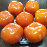 浜松市にお住いの上司は卒寿を越えましたがお元気にお過ごしです。　　・卒寿なる上司の送りくれし柿(和良)